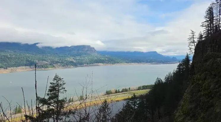 Columbia River view from nearby viewpoint
