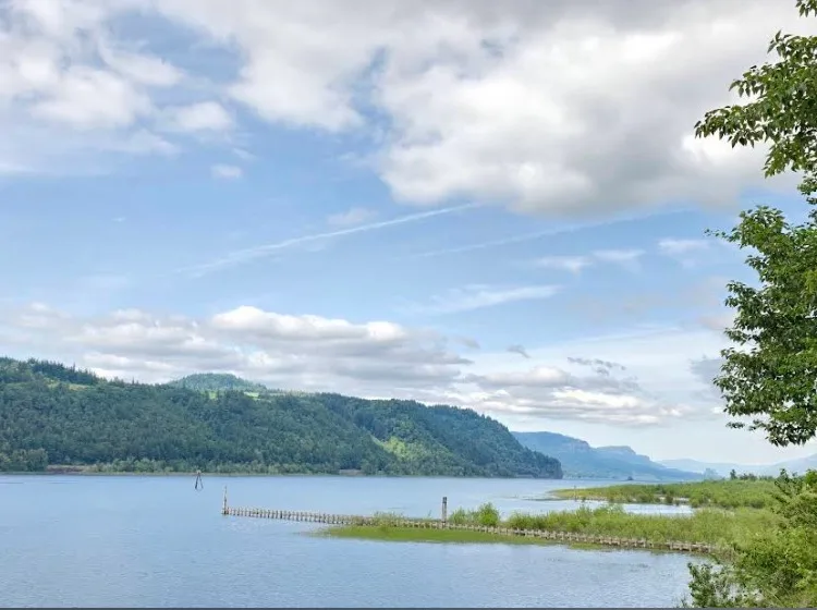 Columbia River from Rooster Rock