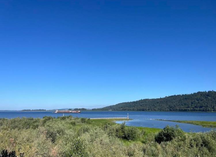 Cargo ship on the Columbia River near Rooster Rock