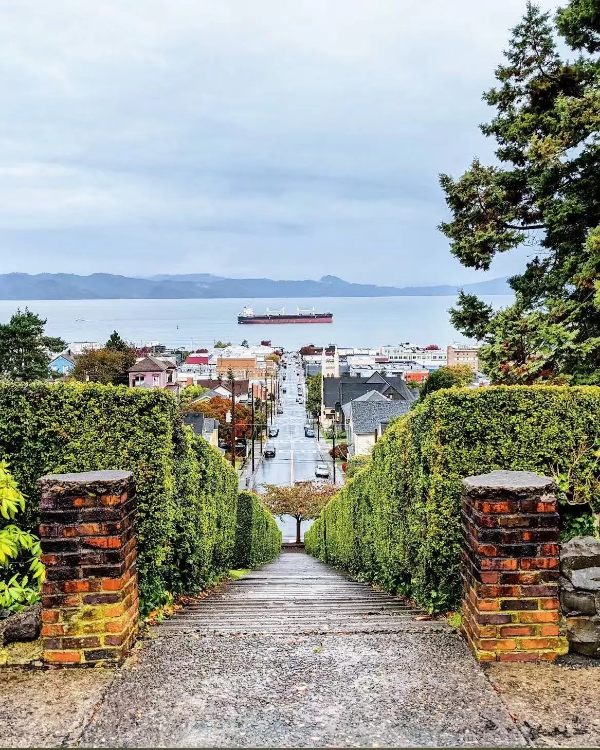 Hedge-lined public stairway looking down over downtown Astoria to the Columbia River