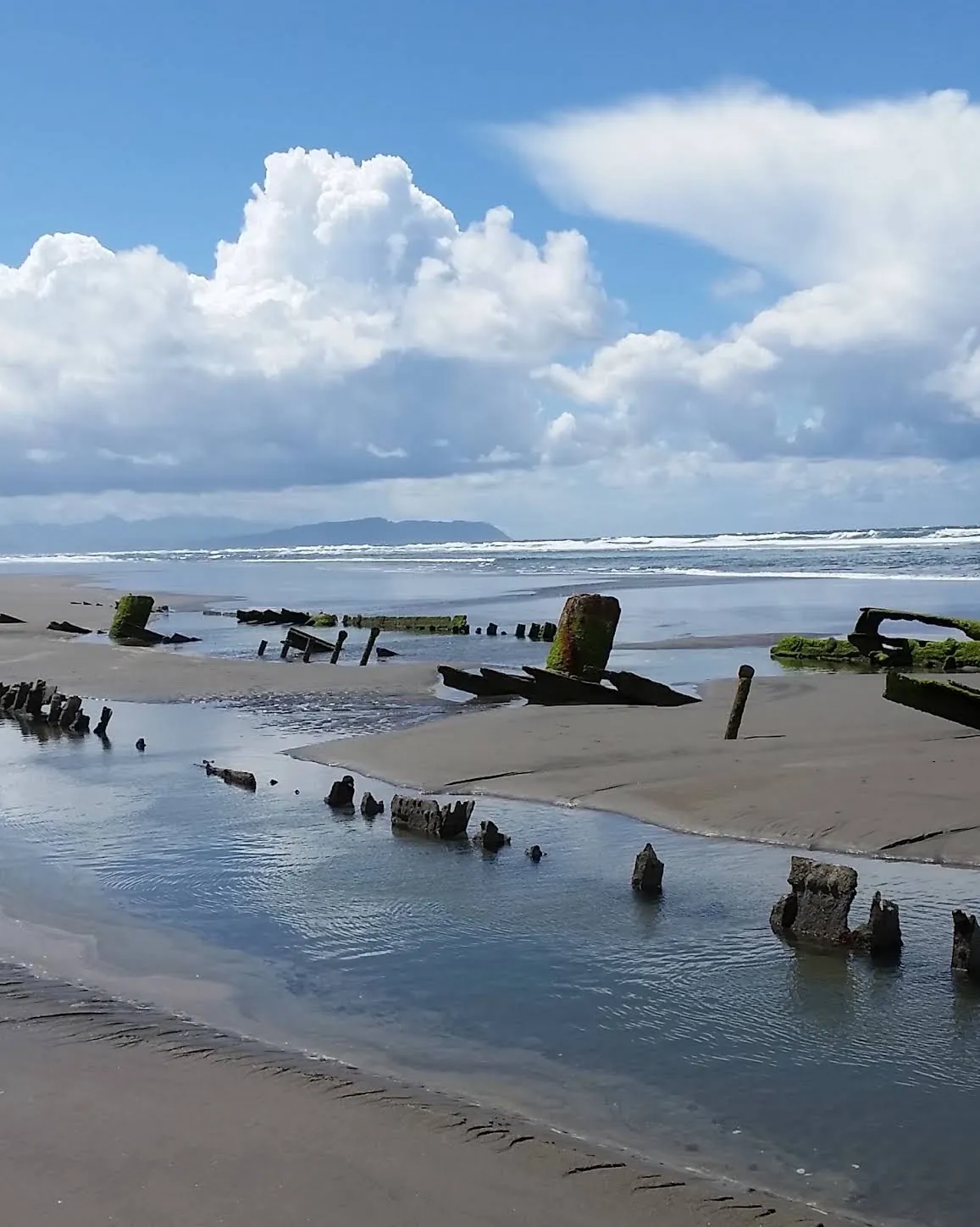 Timbers of the Peter Iredale wreck exposed on the beach at Fort Stevens