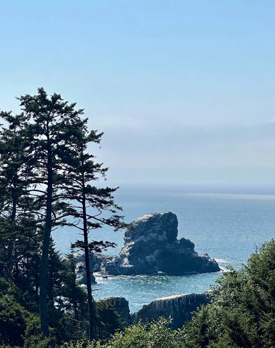 A sea stack off Ecola Point framed by Sitka spruce